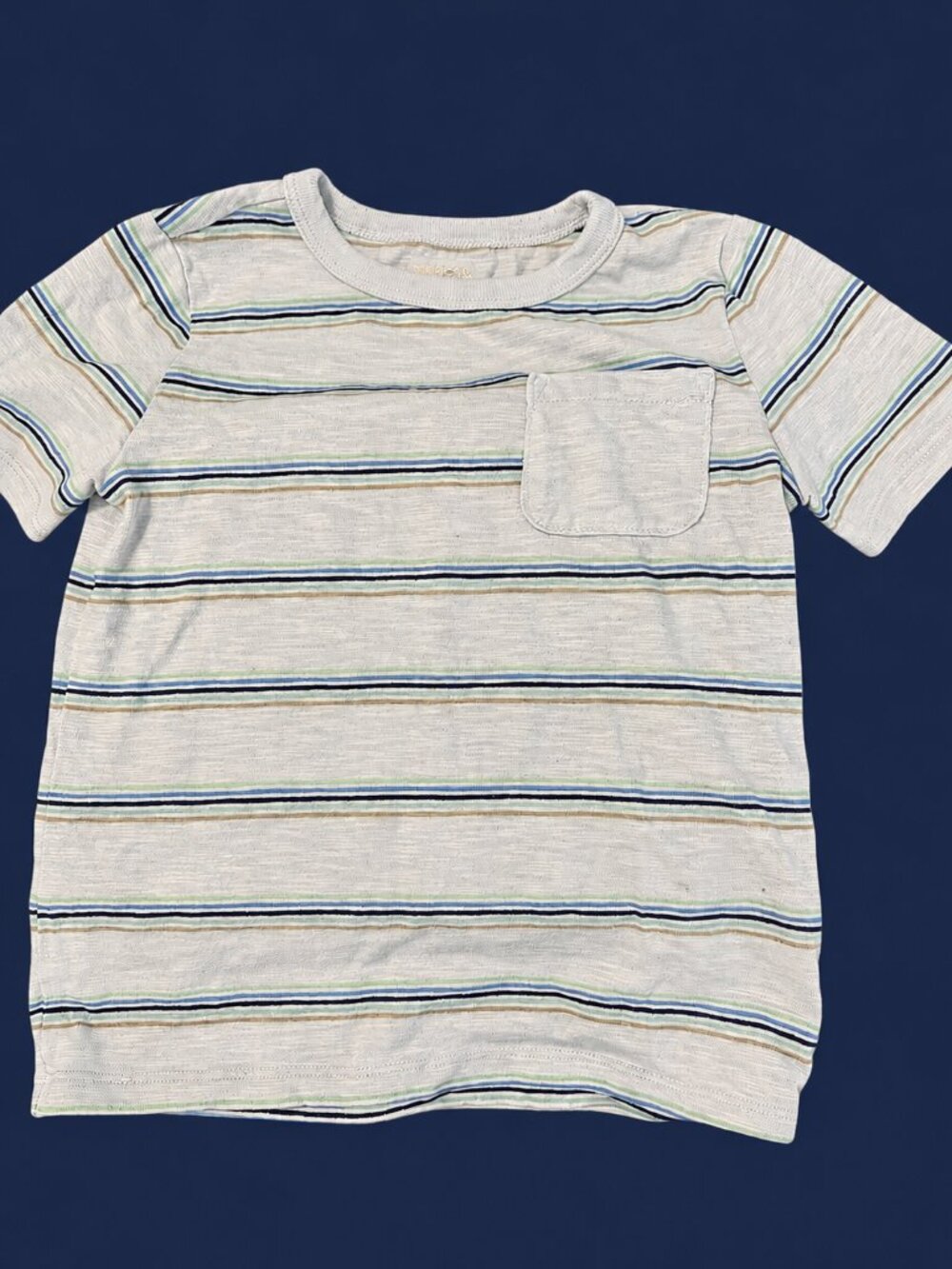 Garanimals Blue Striped T-Shirt – Size 5T